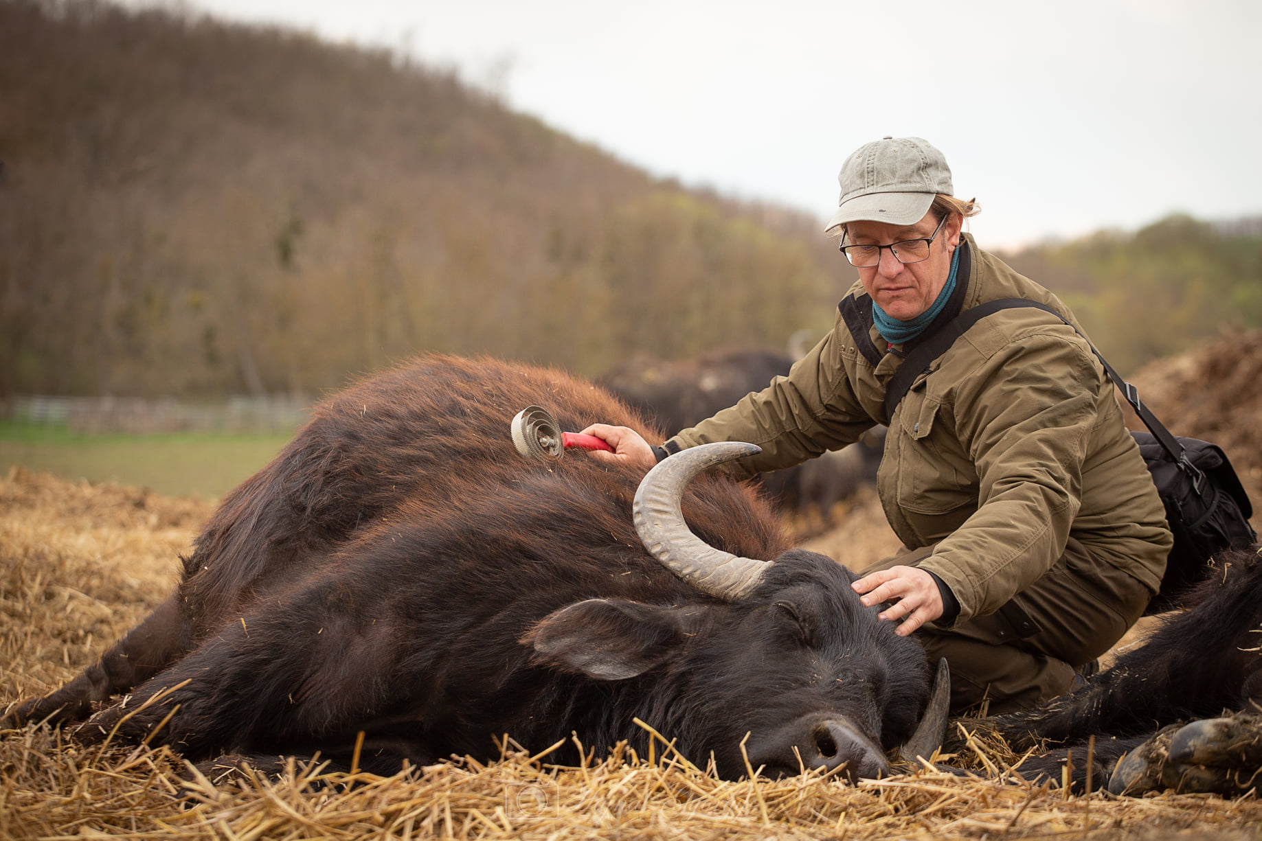 Ötletek az ideális tájhasználathoz