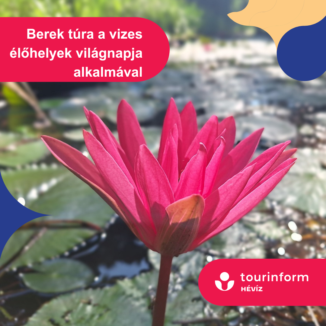 Vizes élőhelyek világnapja